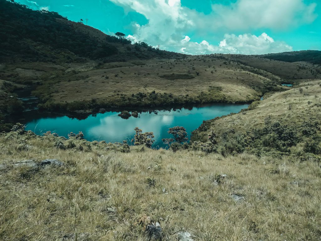 Horton Plains