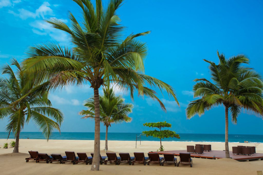 Palms over the east coast at Pasikuda