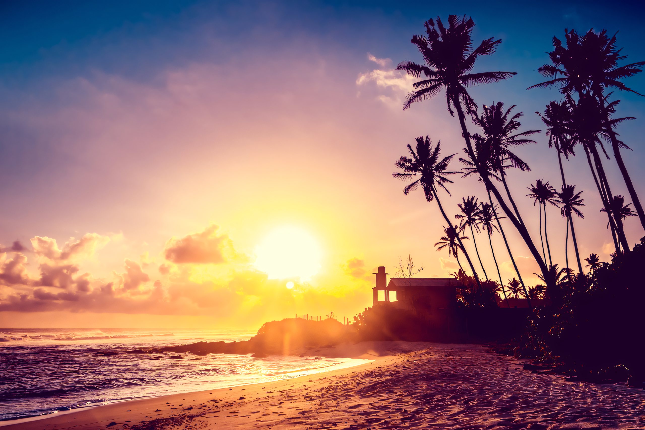 Sunset through the palms at Tangalle