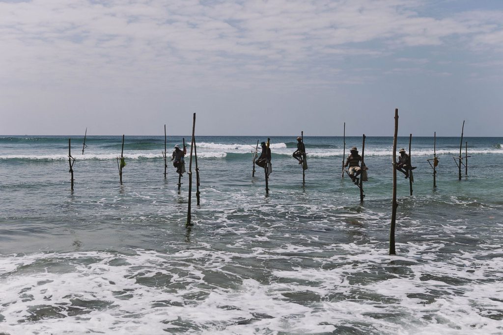 Stilt fishermen on the south coast